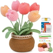 Wnngxing Beginner Crochet Kit with 6 Colors of Yarn \u0026 Video Tutorials
